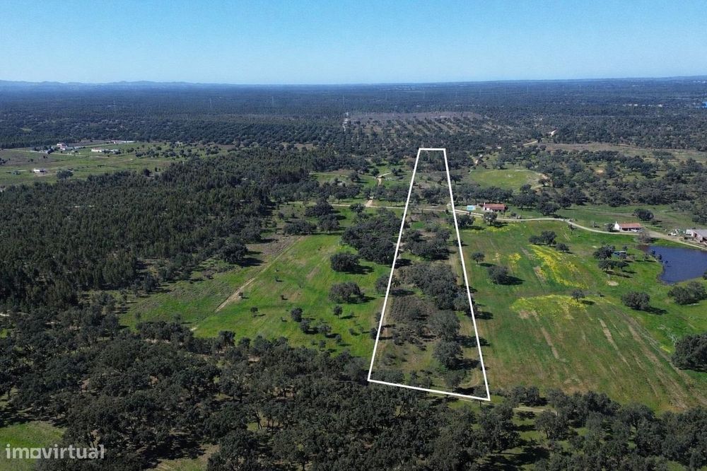 Terreno Rústico com 1,8 ha junto à Barragem de Fonte de Serne — Vale De Santiago, Beja