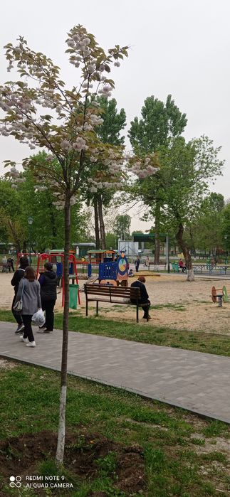 Продам учаск ,ХолГора,Супермат,Гостцу Автосалон ,Апт, Сто