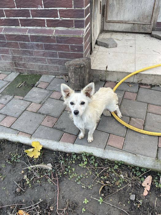 Чудом выжившая девочка