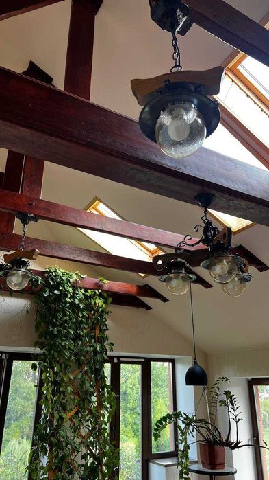 Унікальний будинок з власним парком і озером