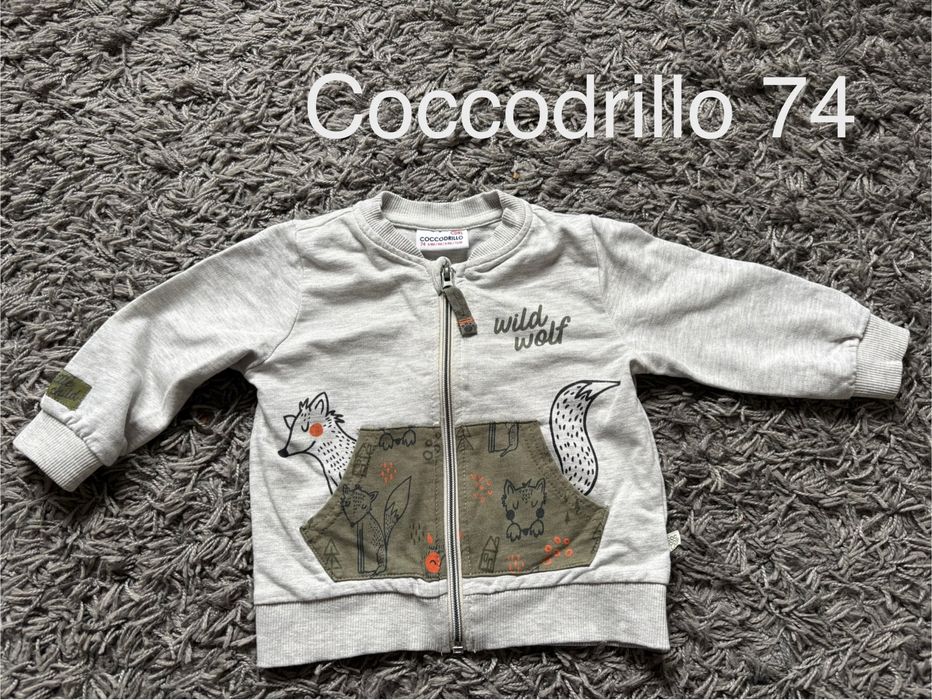 Bluza Chłopięca Coccodrillo 74