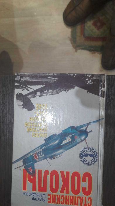книга Сталинские соколы.