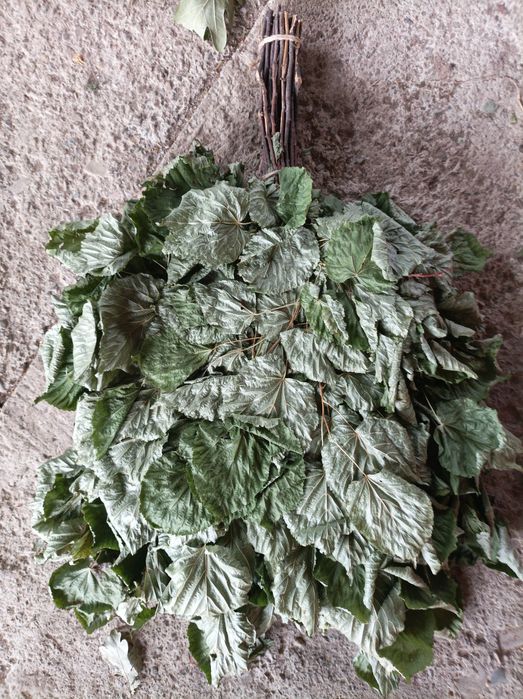 Віники для бані березові і дубові