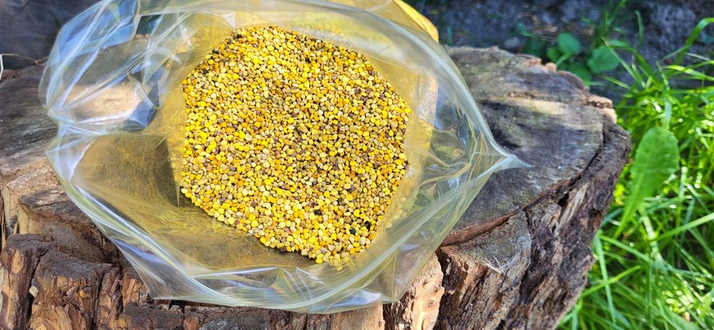 Pyłek Pszczeli 500 gram