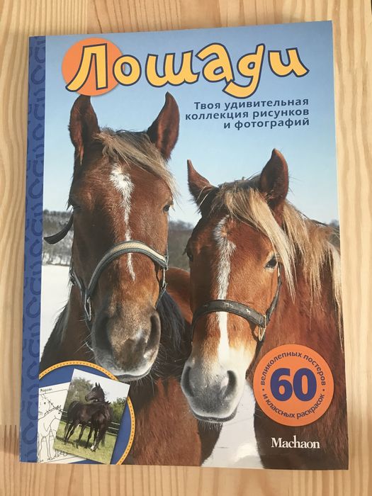 Книга Лошади Коні колекція малюнків і фотографій