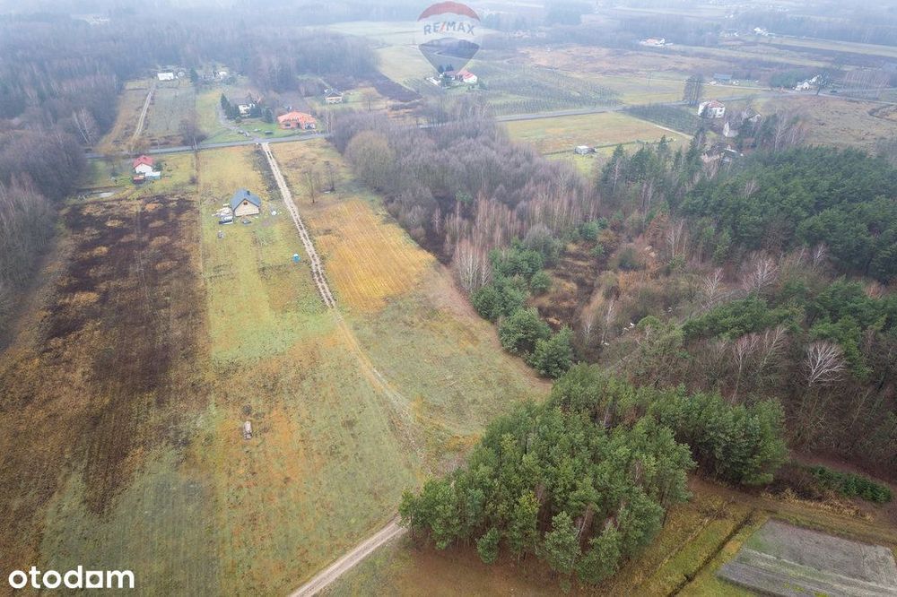 Działa Gaj Żelechowski