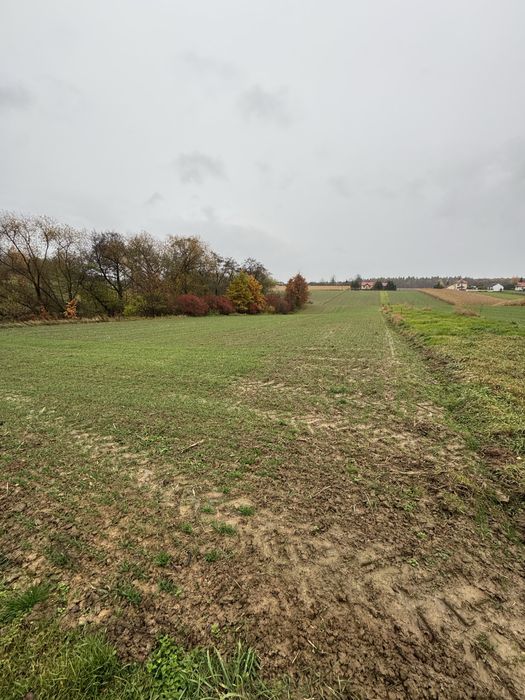 Dzialka rolna  35 arow