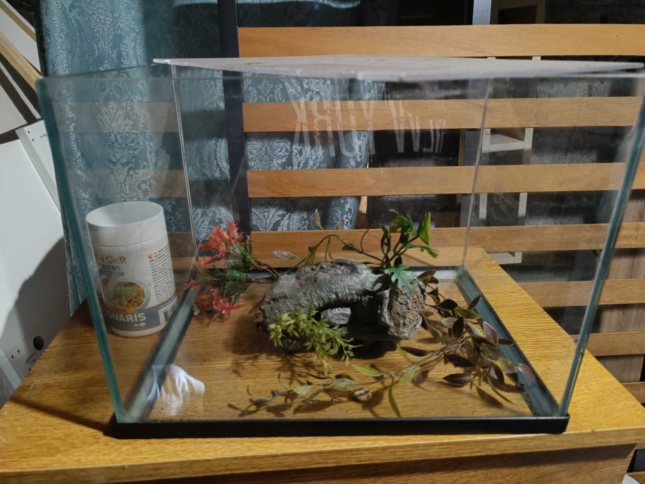 Aquário de peixes usado
