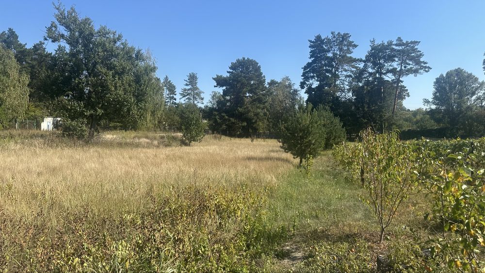 Продаж чудової ділянки. Дніпро і ліс поряд! Під забудову!