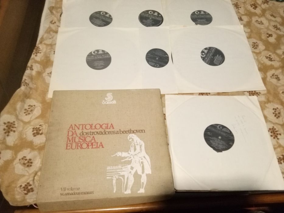 Várias coleções de vinil e vinis