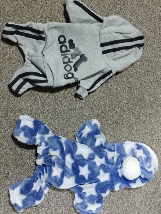 Продам одяг на котика