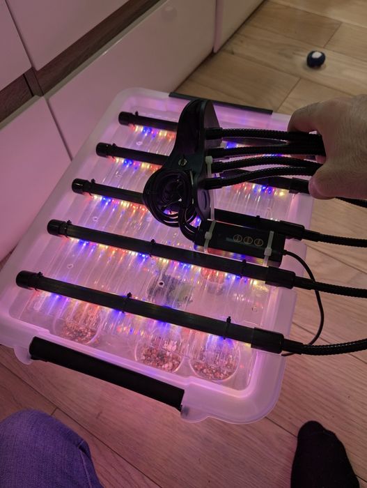 Lampa do roślin Mini Growbox 5xLED – Gotowy system.LED Grow Light 5 głowic Full Spectrum + Timer