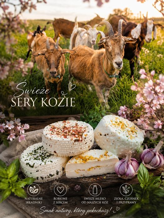 Świeże sery kozie i mleko kozie prosto z gospodarstwa