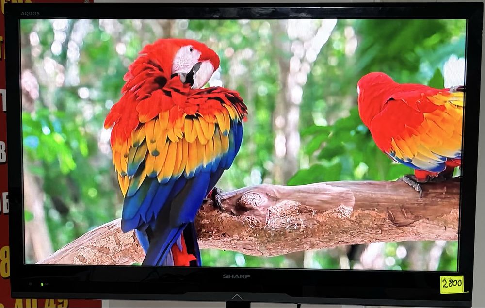 Телевізор SHARP 32