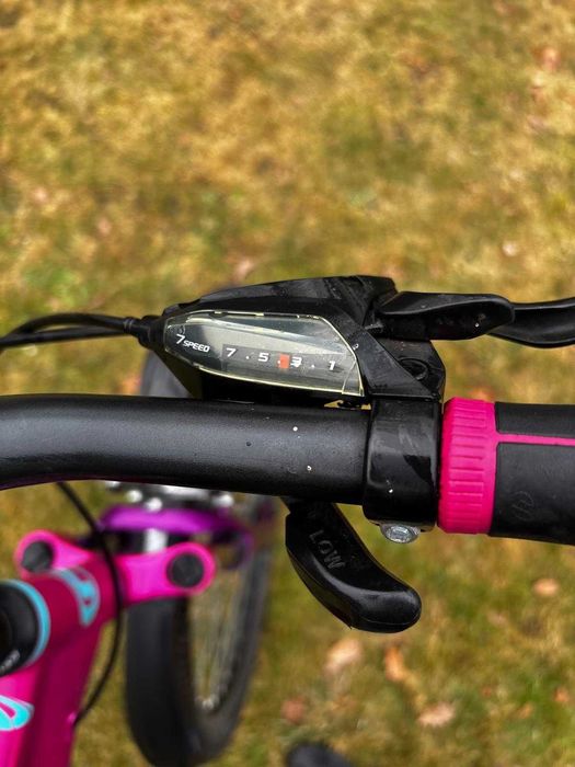 Rower Northtec Sowelo 29 VB
