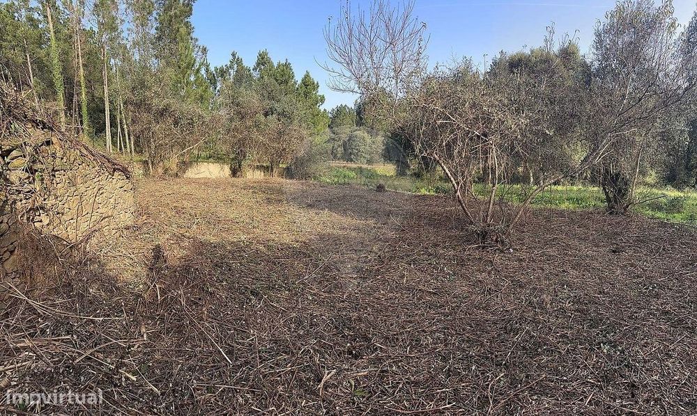 Moradia T0 para venda — Casais E Alviobeira, Santarém