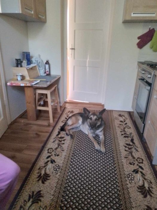 Kto podaruje Wirusowi domek?