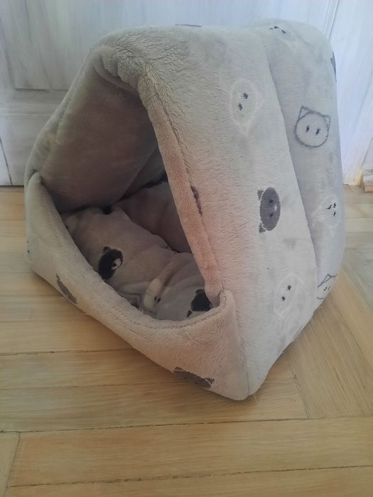 Домик для котика