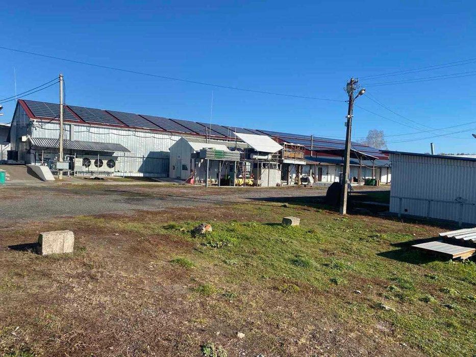 Продаж Діючої бази (холодокомбінат) Склады Хранилище Хладокомбинат!