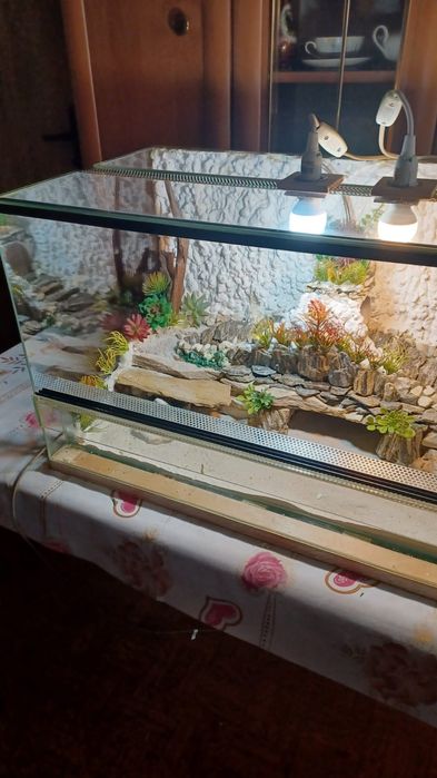 Terrarium 80x40x40 z wyposażeniem( jak nowe)