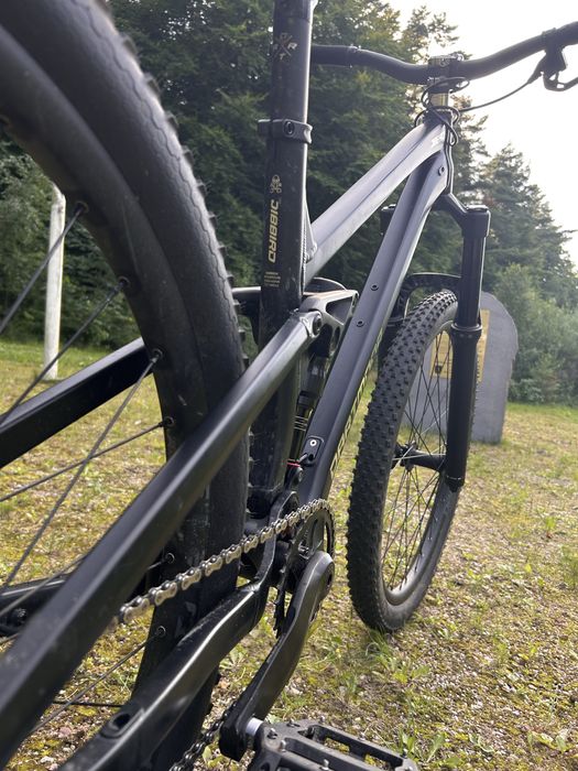 Dartmoor jibbird v2