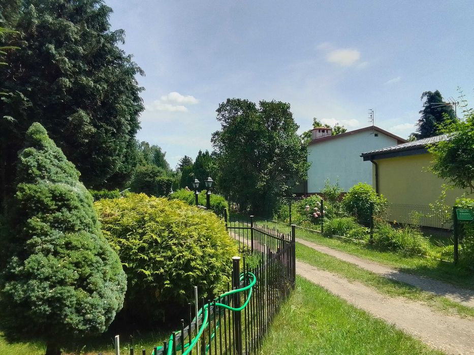 Działka ROD w Jagodowie