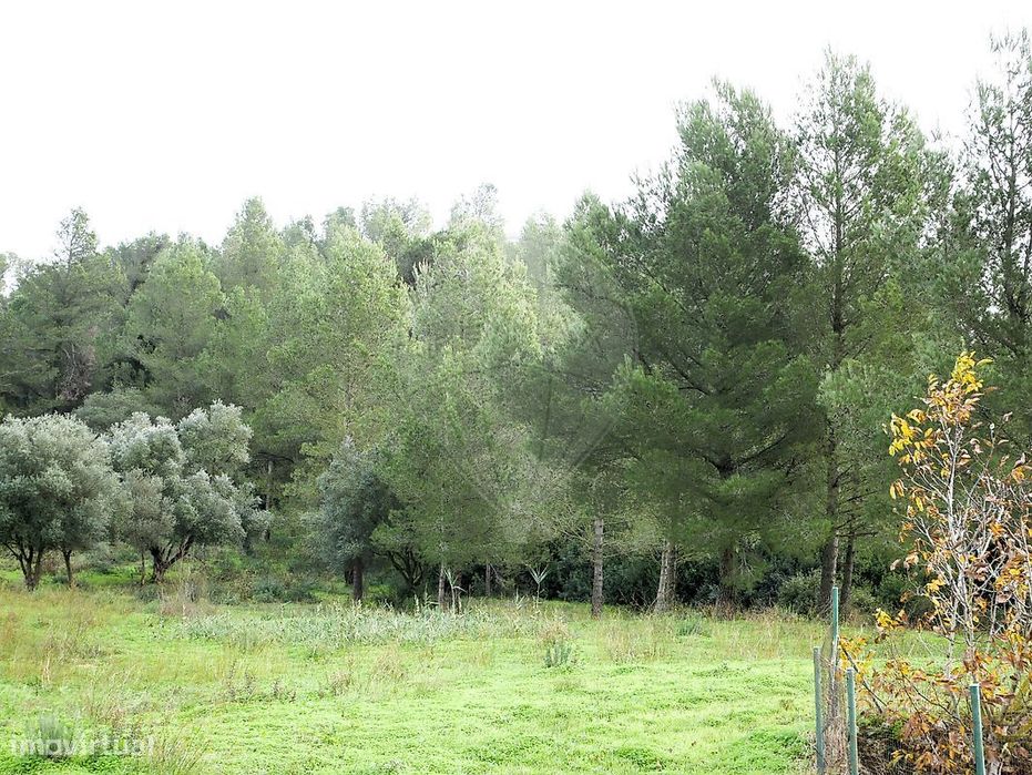 Terreno  para venda
