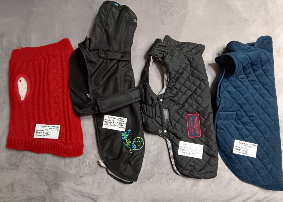 Одежда для собак, одяг для собак