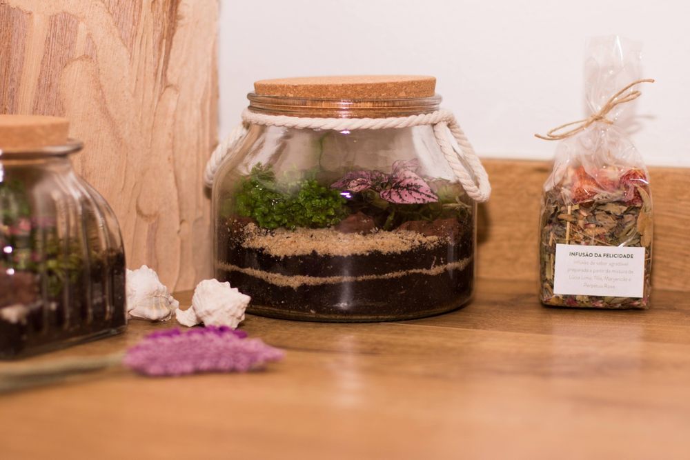 Terrários - vários tamanhos