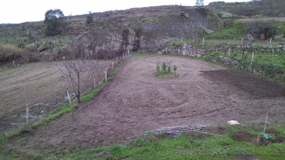 Quinta de st.domingos