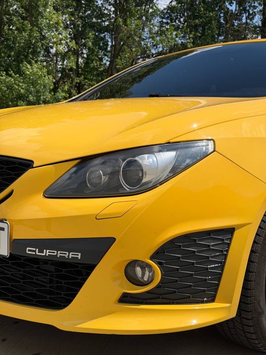 Seat Ibiza Cupra 2010