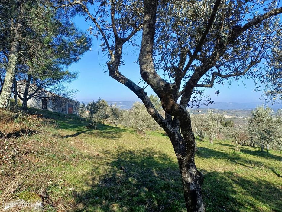 Quintinha T1 Venda em Figueiró da Serra e Freixo da Serra,Gouveia