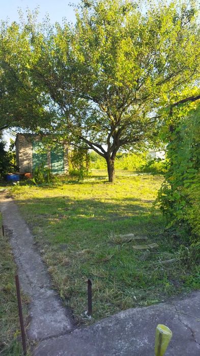 Дача на Басах в садівництві Олдиш-86: 4 500 $ - Продажа домов Сумы на Olx