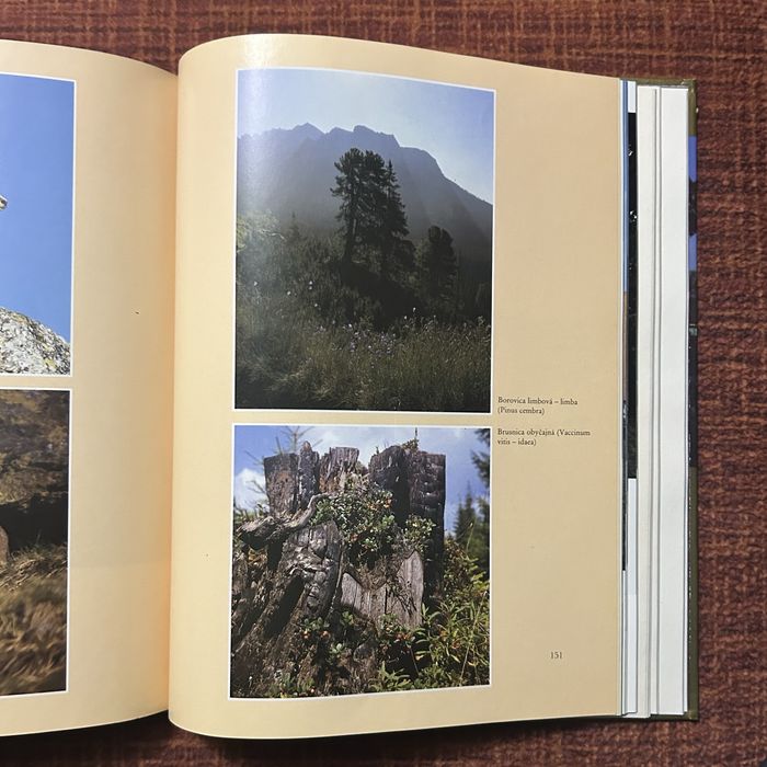 Zlata kniha slovenska. Золотая книга Словакии.