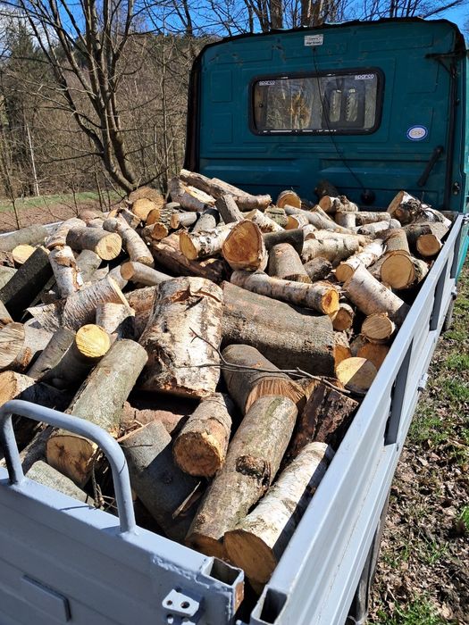 Drewno Buk Jesion Brzoza Świerk Sosna