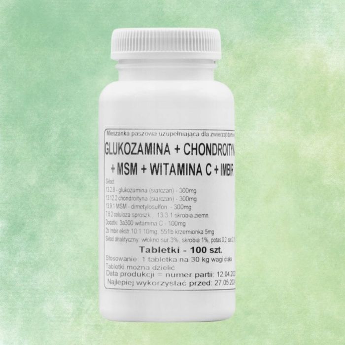 podkowa glukozamina + chonfroityna + msm + witamina c + imbir 100 tab.