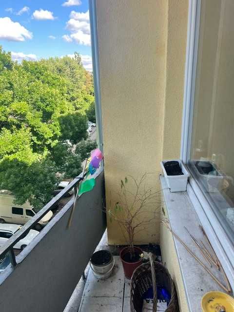 Zdjęcie 4