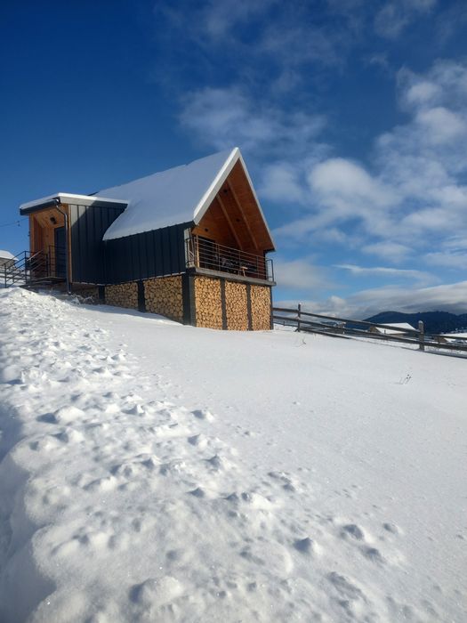 Відпочинок в Карпатах