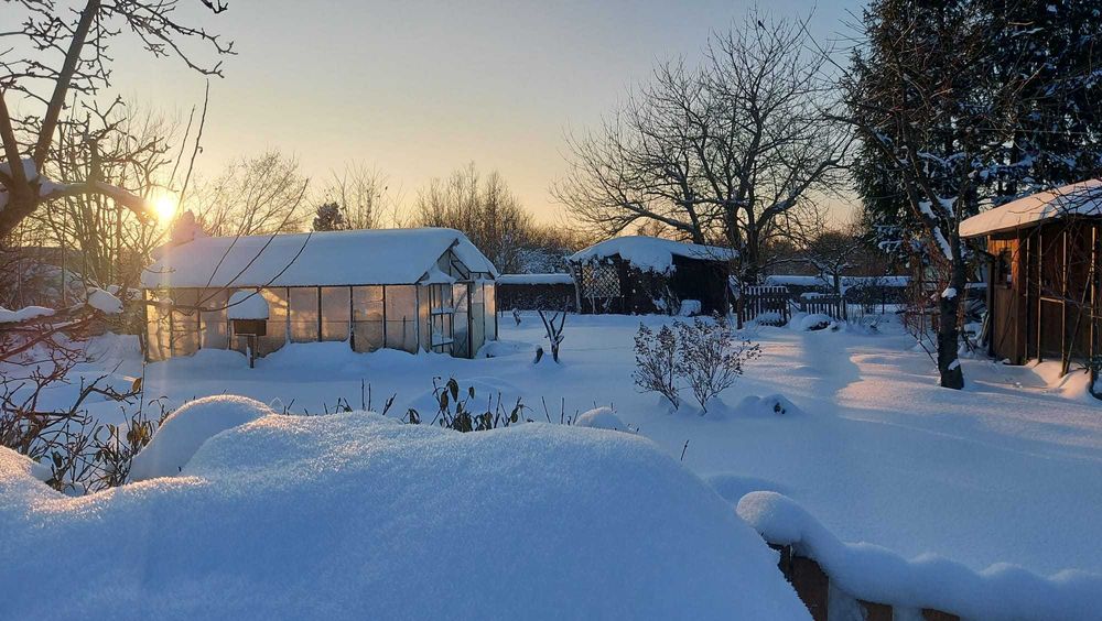 Działka ROD Gdańska - altana, szklarnia i media