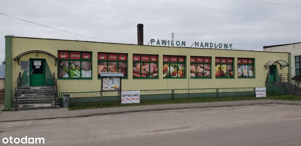 Wynajmę budynek użytkowy w Wyszkach