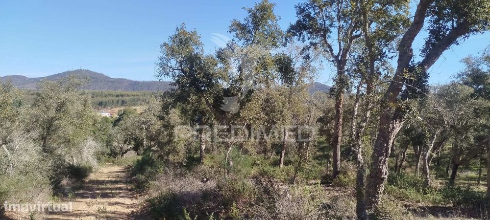 Terreno com ruína em Santiago do Cacém — São Francisco da Serra, Setúbal