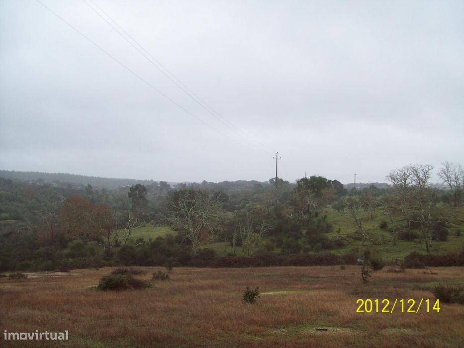 Herdade do Monte da Pedra.