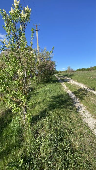 ЕкоЛокація 12 соток с. Копачів, м. Обухів 14 км