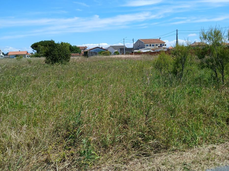 Limpeza de terrenos