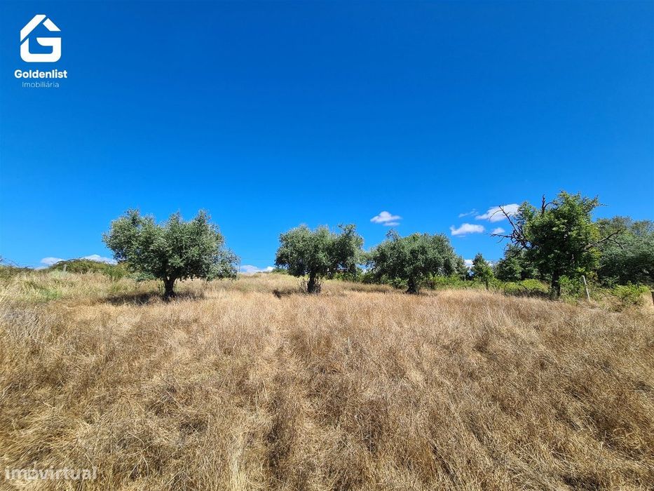 Quintinha  Venda em Caria,Belmonte