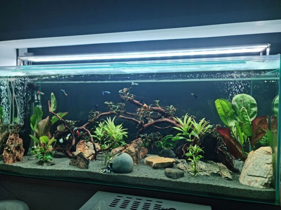 Aquario com Iluminação Week Aqua V1200SE