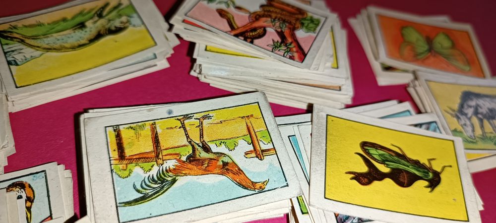 Antigos cromos da coleção zoologia 1 série