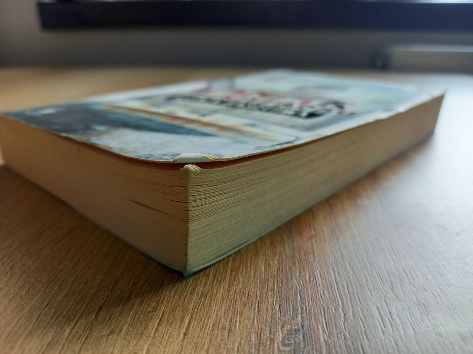 Ksenia Basztowa Wampir z przypadku