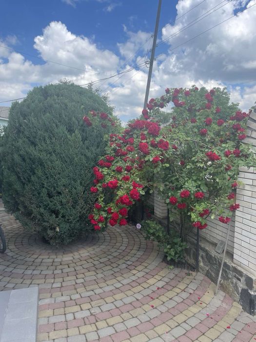 Продаж приватного будинку від власника м.Бар, вул.Галицьких вояків 63