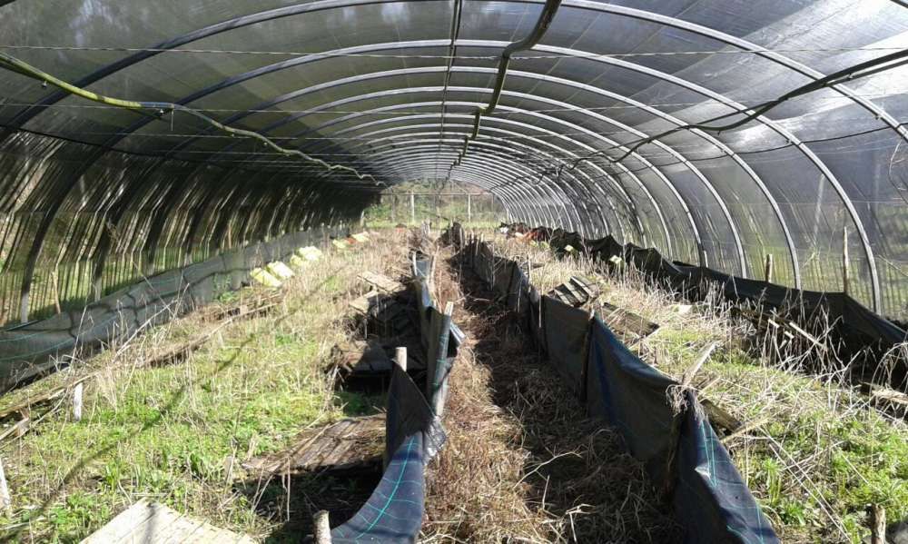 Vendo Estufa Agrícola